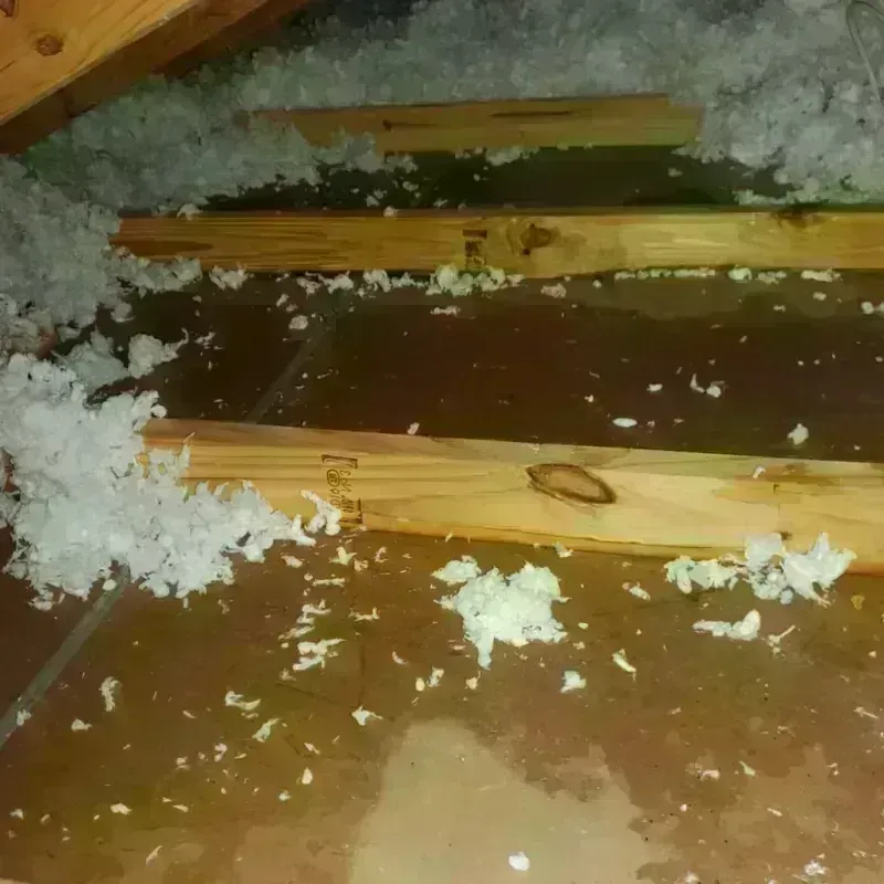 Attic Water Damage in Raleigh, MS