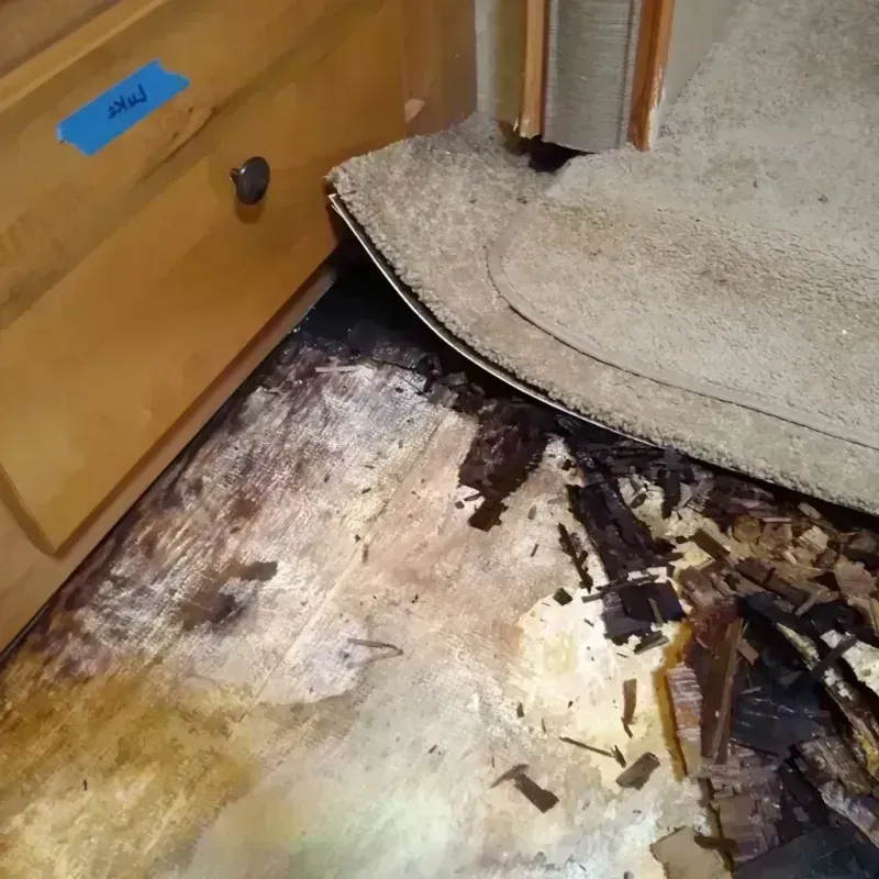 Wood Floor Water Damage in Raleigh, MS